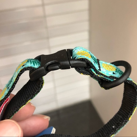 😎🥳4x HOST PICK🥳 NWT RC Pets Kitty Breakaway Collar - Picture 6 of 6